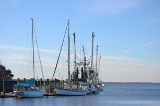 乐鱼体育app官网-台风助力惠州海鲜增多，赶海活动热度攀升，惠州的台风要什么时候来什么时候走